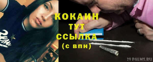 спайс Аркадак