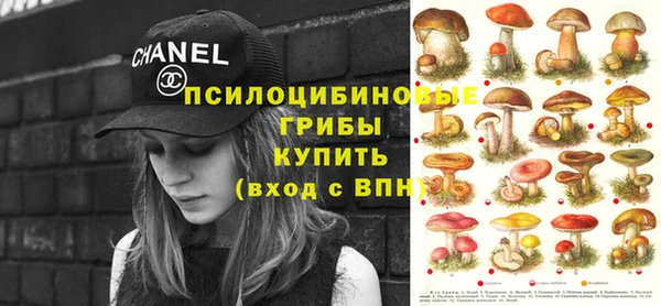 спайс Аркадак